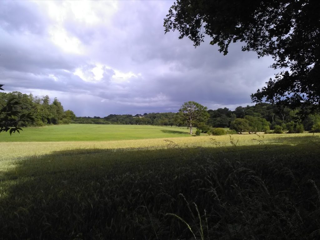 Les Arcades à Joué-sur-Erdre