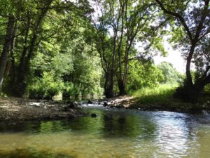 L'Erdre, aux Arcades de Joué-sur-Erdre L'Erdre, aux Arcades de Joué-sur-Erdre