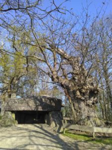 La Roche aux Fées, à Essé, en Ile-et-Vilaine