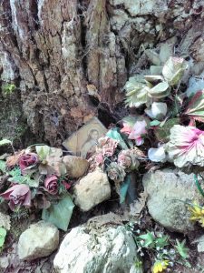 Cadre avec image dédié à Sainte Thérèse de Lisieux