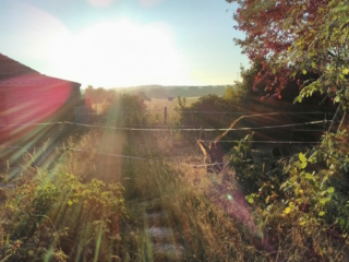 Grands éclats de Lumière dans mon jardin ! Grands éclats de Lumière dans mon jardin !
