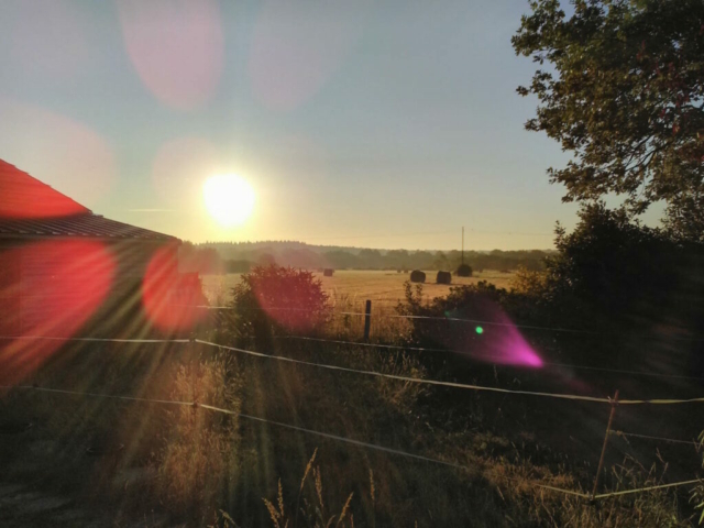 Lever de soleil, en août 2019, dans mon jardin Lever de soleil, en août 2019, dans mon jardin