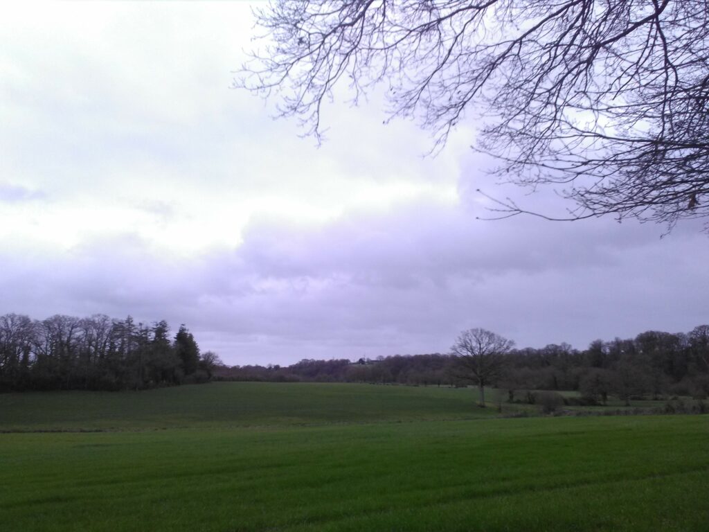 Les Arcades, à Joué-sur-Erdre, le 20/02/2020
