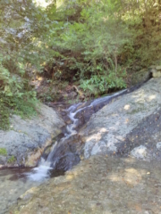 Les formes blanches dans l'eau : des ondines ?
