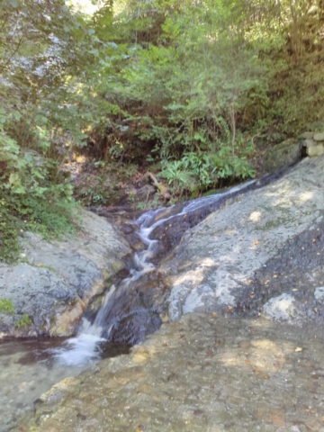 Les formes blanches dans l'eau : des ondines ?