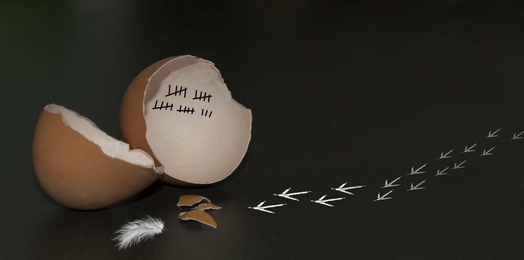 Sortez de votre coquille !