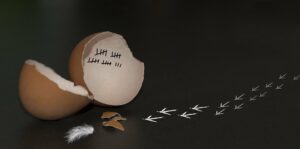 Sortez de votre coquille !