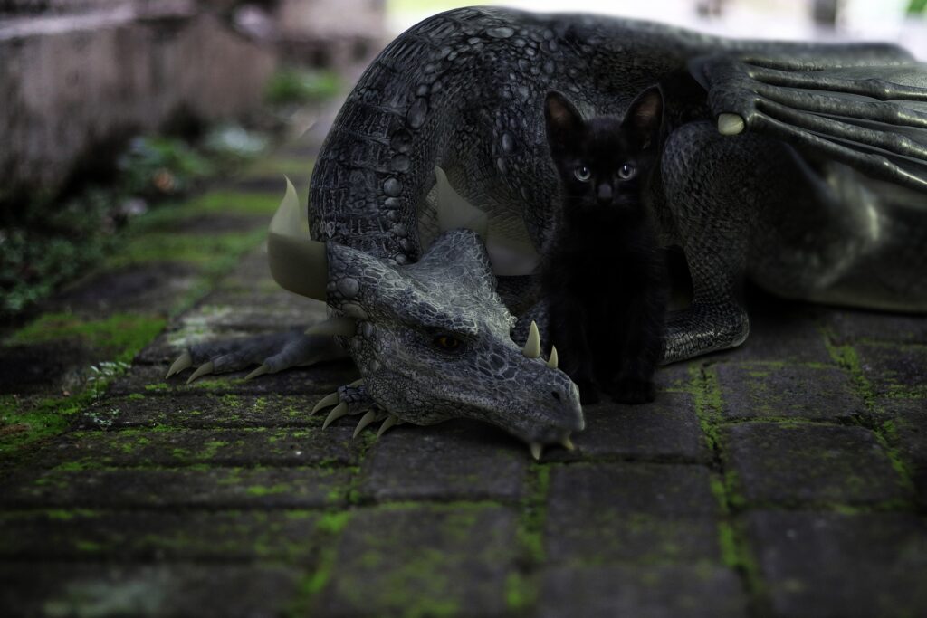 Petit dragon et chat noir