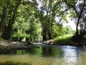 L'Erdre, aux Arcades