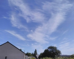 Un aigle, apparaissant dans les nuages