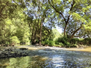 L'Erdre, s'écoulant paisiblement près des Arcades