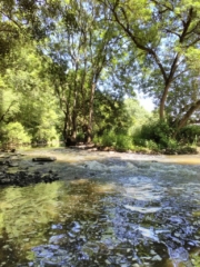 L'Erdre, s'écoulant paisiblement près des Arcades