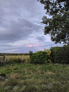 Nuage rose dans le ciel nocturne