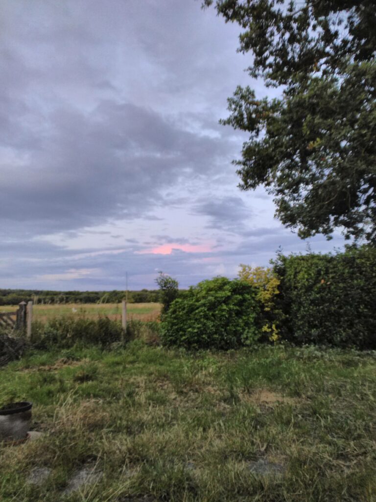 Nuage rose dans le ciel nocturne