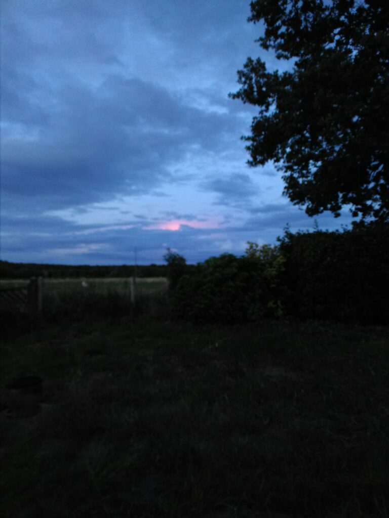 Nuage rose dans le ciel nocturne