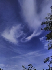Nuages aussi légers que des plumes !