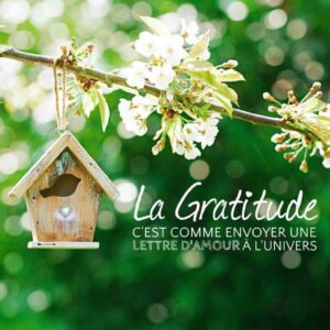 La Gratitude, un message d'Amour à l'Univers