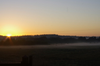 Lever de Soleil sur la Forêt d'Ancenis, à Riaillé