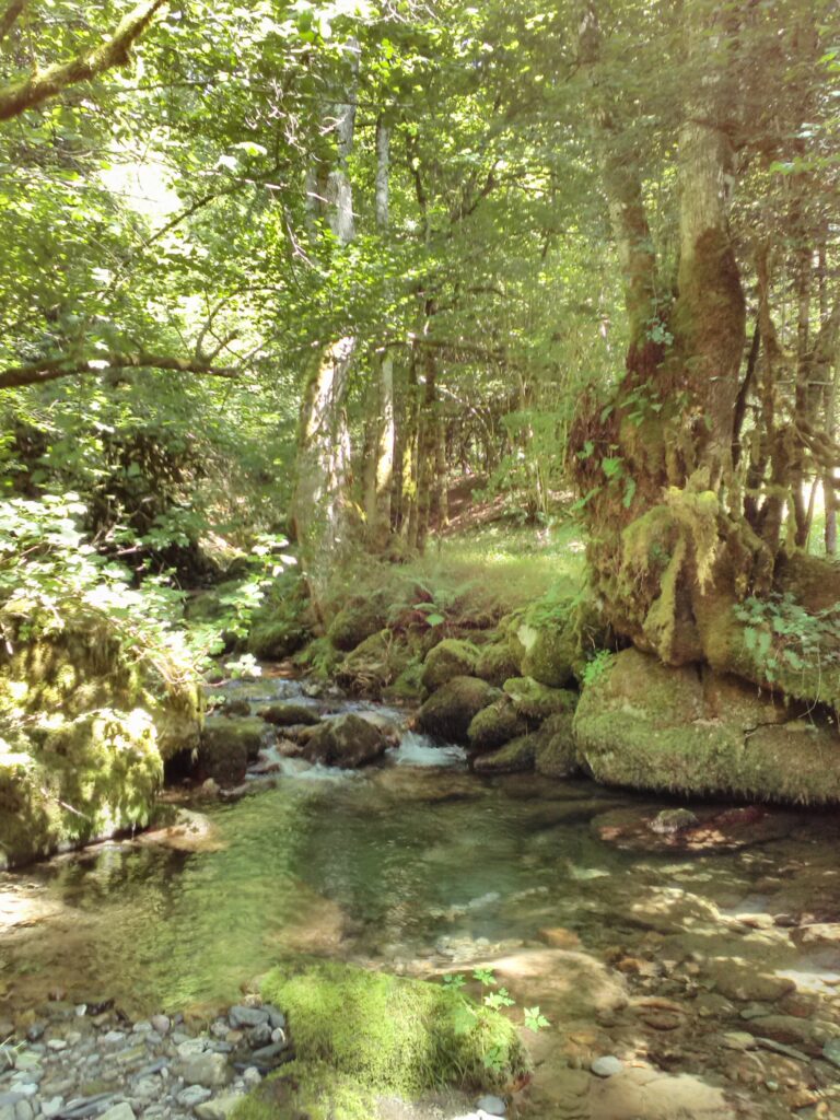 Petite cascade en forêt d'Ardengost