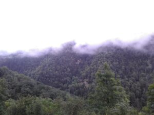 Ardengost : vue sur la montagne, à l'aube