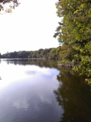 L'étang de l'Abbaye de Melleray, un lieu de calme et d'apaisement