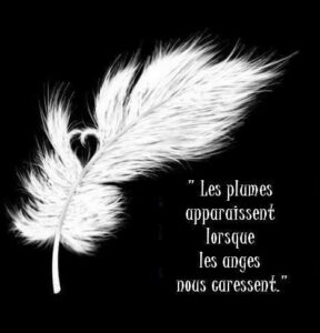 Les plumes, signe de la présence des Anges