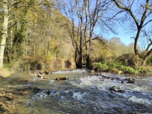 L'Erdre, cascadant à Joué-sur-Erdre