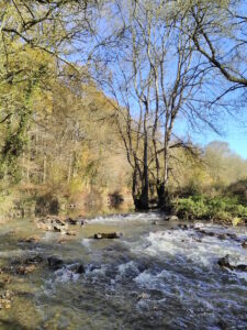 L'Erdre, aux Arcades de Joué-sur-Erdre (44)