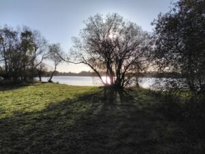 Lever du Soleil au-dessus de l'étang de la Provostière - Riaillé (44)