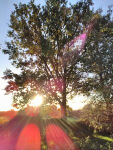 Lever du Soleil du 3 Novembre