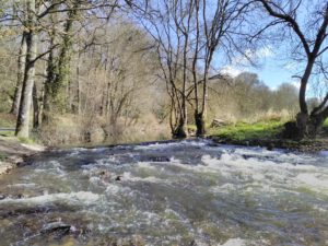 L'Erdre, aux Arcades de Joué-sur-Erdre, début du printemps 2021