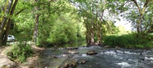 L'Erdre, aux Arcades de Joué-sur-Erdre