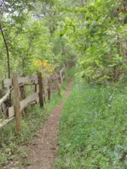 Un joli chemin bordé d'une palissade