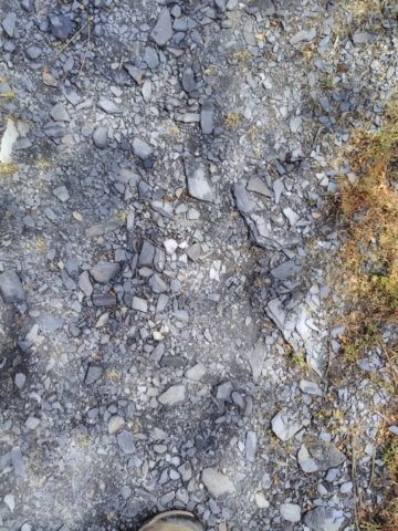 Un chemin tapissé d'ardoise ! Un chemin tapissé d'ardoise !