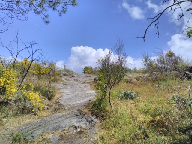 En grimpant... En grimpant...