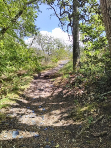 Vers les hauteurs... Vers les hauteurs...