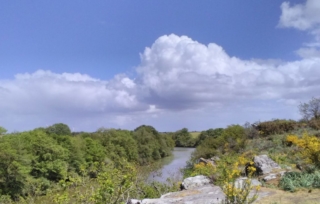 En haut des landes du Don