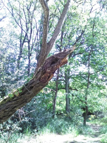 Présence de la Nature Présence de la Nature