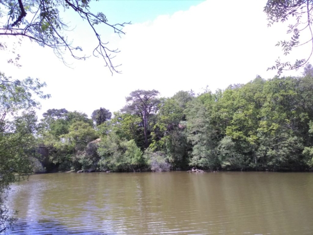 Vue sur le Don Vue sur le Don