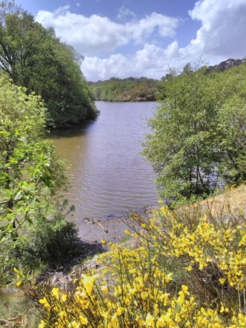 Le Don, vu en haut des landes Le Don, vu en haut des landes
