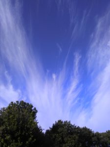 Anges et plumes, dans le ciel