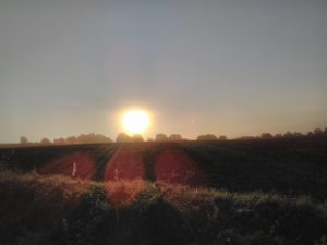 Lever de Soleil sur la campagne, Loire-Atlantique (44), le 11 Août 2021