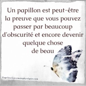 La métamorphose du Papillon