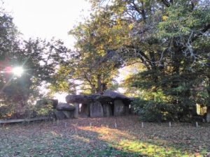 La Roche aux Fées, en Bretagne, un lieu magique !