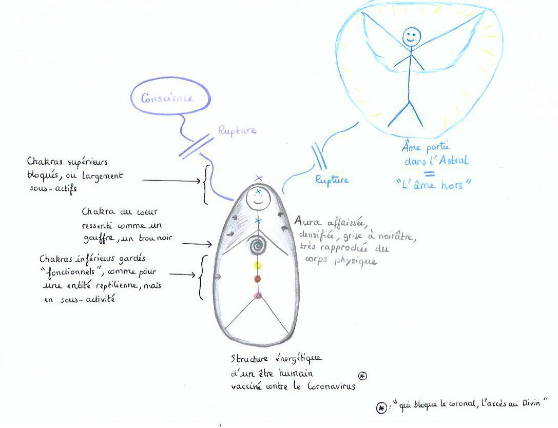 Schéma de la structure énergétique d'une personne vaccinée contre le Covid Schéma de la structure énergétique d'une personne vaccinée contre le Covid