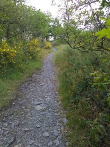 Chemin tout tracé, à suivre !