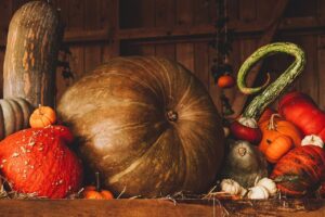 Abondance en automne : les belles citrouilles, aux formes amusantes !