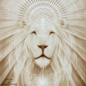 Lion Blanc - Sirius, Orion