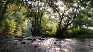 Lever de Soleil sur l'Erdre - Juin 2023