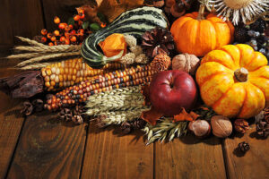 Samhain, la célébration des récoltes, de l'Abondance, et le respect des Cycles de la Nture